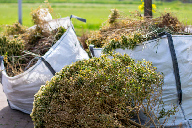 Best Electronics Removal Services  in Offutt Af, NE